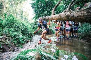 BIB: 
                            <button type="button" onclick="openModal(25469836)" class="btn btn-primary btn-sm float-right btn-popup" data-toggle="modal" data-target=".modal-high-quality">
                        <i class="fas fa-shopping-cart"></i> Add to Cart
                    </button>
                                            <button type="button" onclick="isThisMe(25469836, true)" class="btn btn-success btn-sm float-right btn-popup btn-isme hidden" data-toggle="tooltip" data-placement="bottom" title="นี่คือรูปของคุณใช่ไหม คลิกที่นี่เพื่อเอาเข้าอัลบั้ม">
                        <i class="fas fa-plus"></i> Add to album
                    </button>
                    <button type="button" onclick="isThisMe(25469836, false)" class="btn btn-warning btn-sm float-right btn-popup btn-isnotme hidden">
                        <i class="fas fa-ban"></i> Remove from album
                    </button>